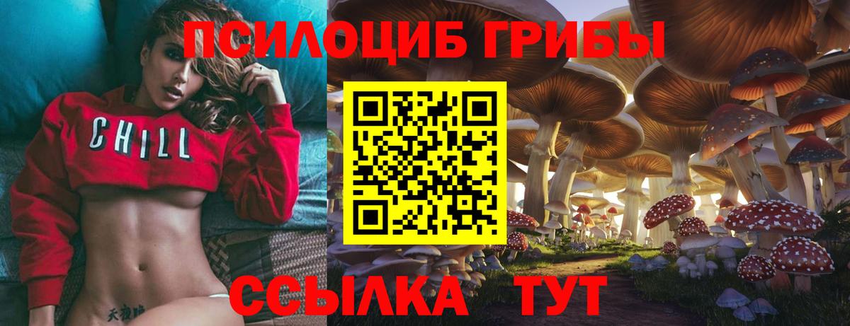 Псилоцибиновые грибы мухоморы Гуково