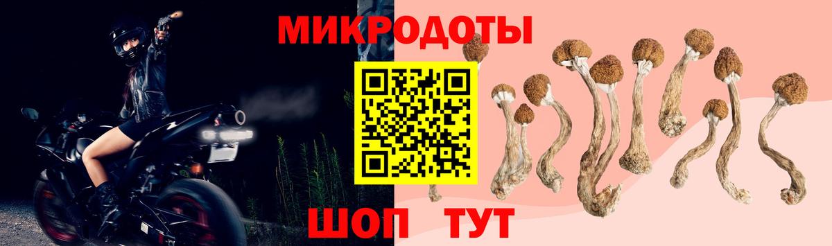 Псилоцибиновые грибы мицелий  Вход с VPN  Гуково 